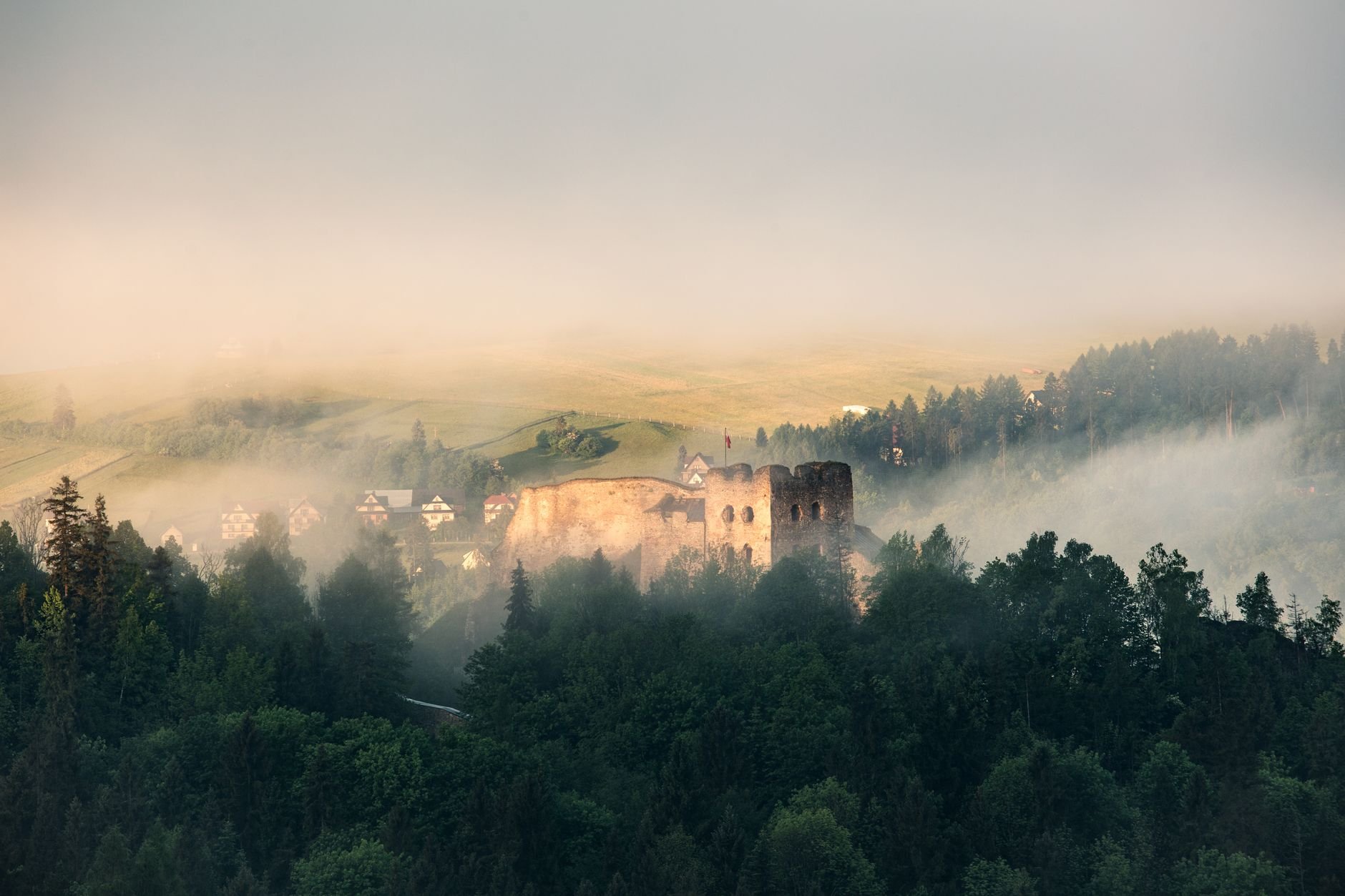 Ancient ruins amidst misty forests